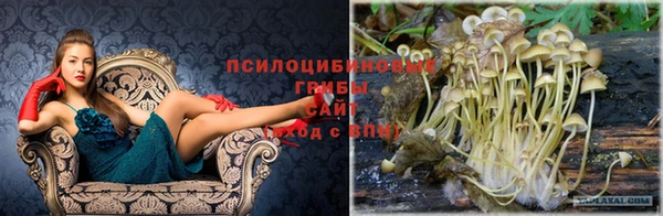 кокаин Балабаново